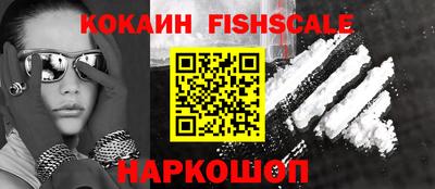 амф Кингисепп