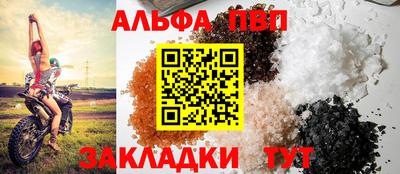 амф Кингисепп