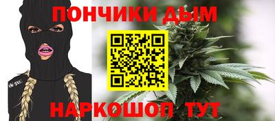 мдпв Бердск