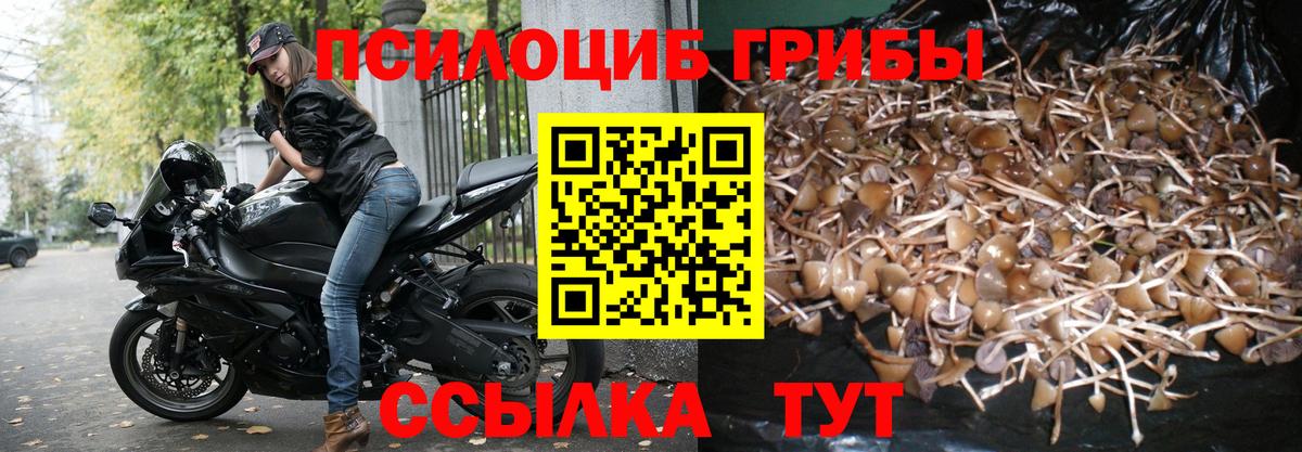 Галлюциногенные грибы прущие грибы Краснознаменск